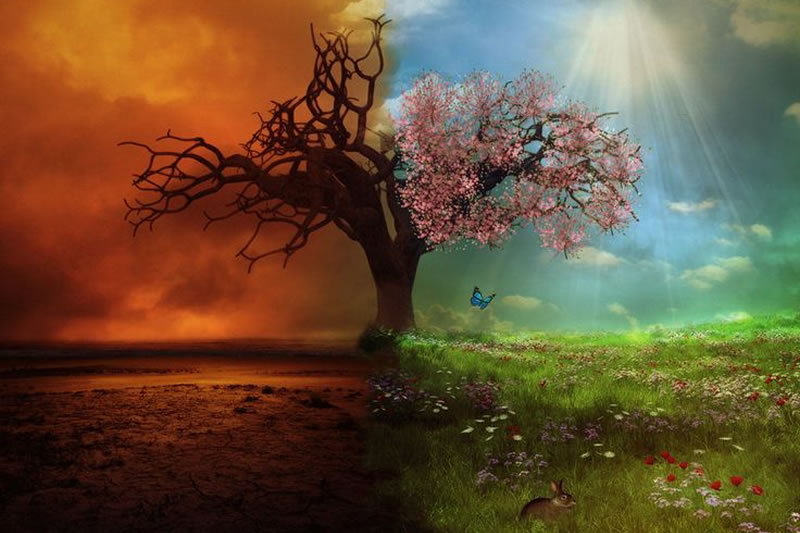 善惡有報 真主至公