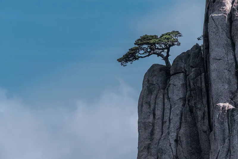 向穆聖學習如何應對考驗與挑戰