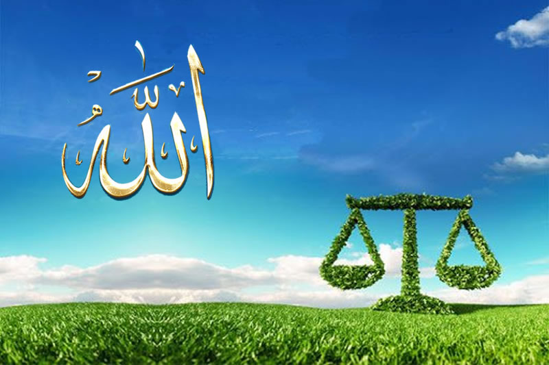 在真主那裡 你的分量？