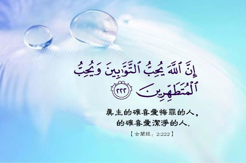 真主喜愛的八種品質