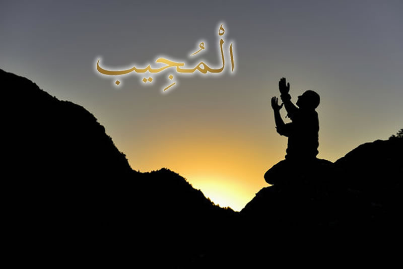 安拉是應答的的主，你只需要去祈求