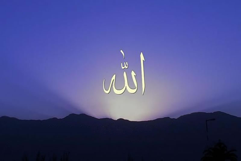 熱愛真主是品嘗信仰甘甜的關鍵