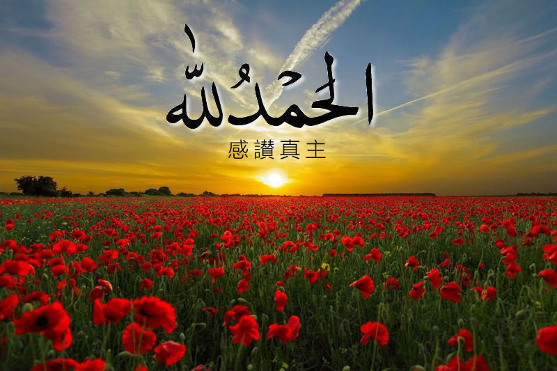 我们感恩真主吗？