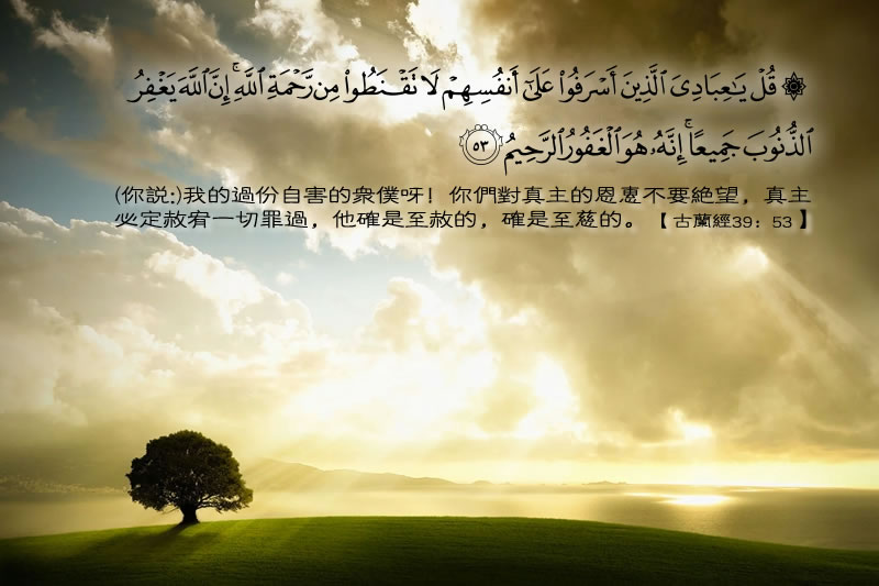 真主必定赦宥一切罪過