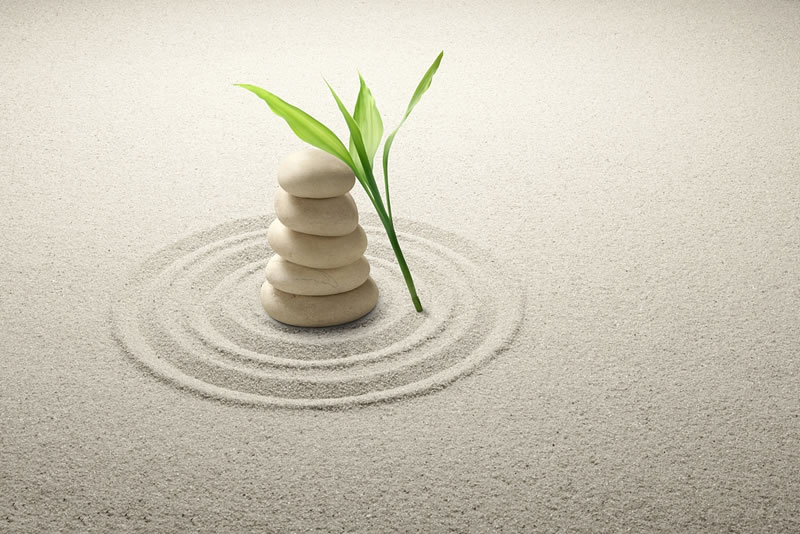 尋求心靈的寧靜