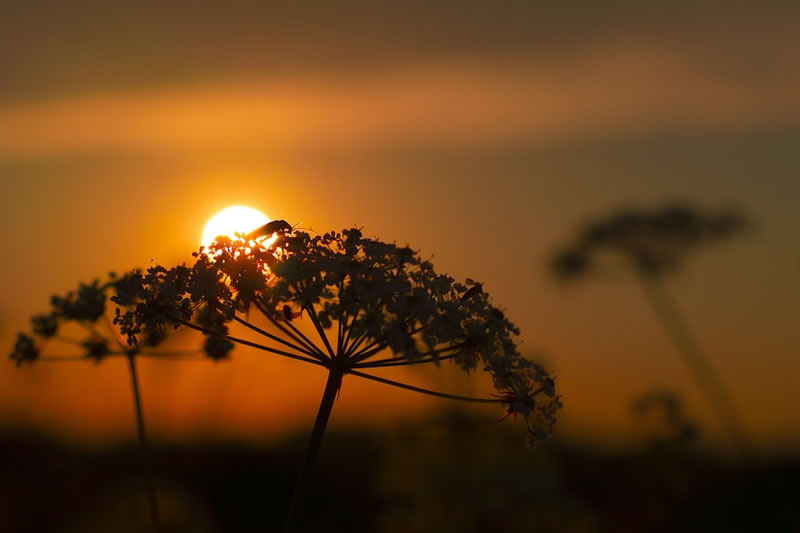 信仰可使你的內心獲得寧靜