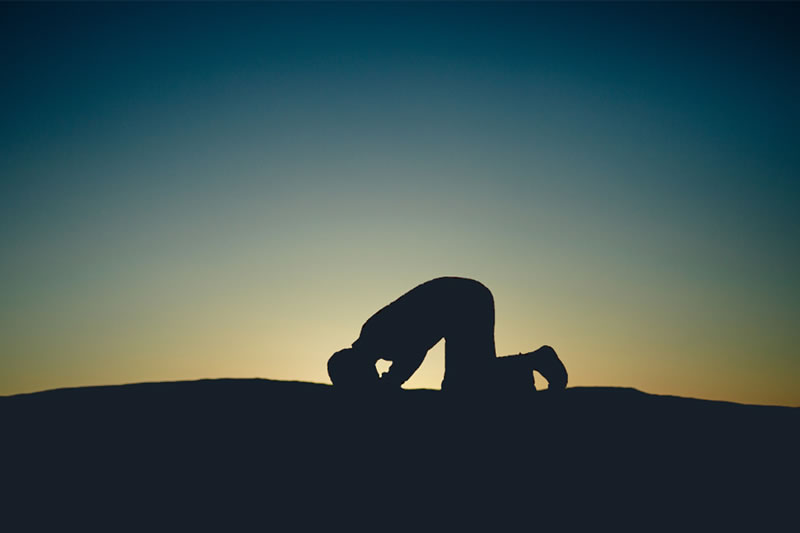 你們當借堅忍和禮拜而求真主佑助