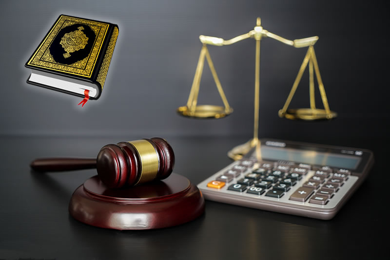 在安拉清算之前，請先自我清算