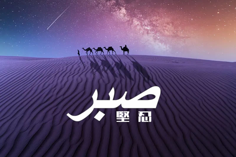 安薩里：堅忍的意義、目標及時機