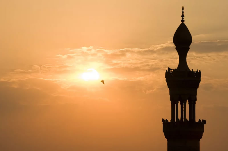 信道而且行善者，得以樂園爲住所