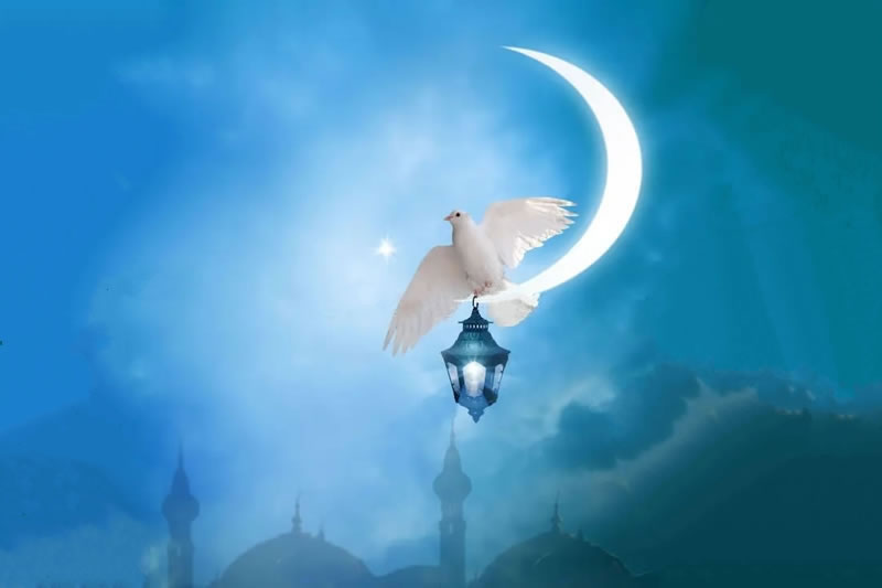 齋月，靈魂的釋放