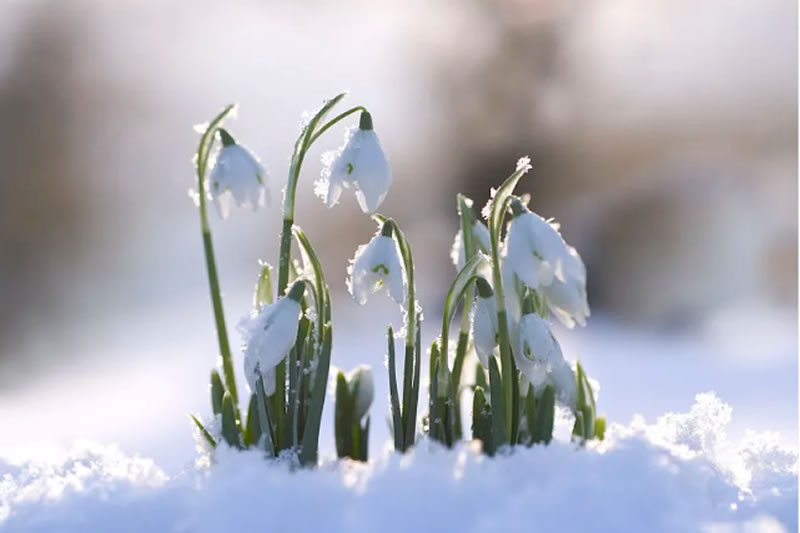 為什麼我的生活充滿了考驗？