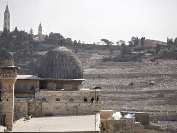  不能讓以色列的暴行暢通無阻