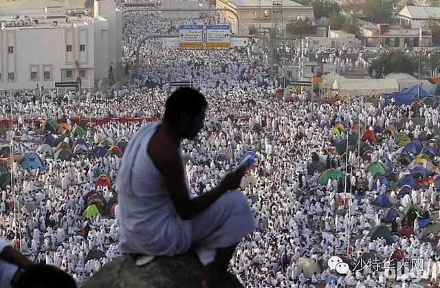 關於今年的朝覲  你想知道的數字