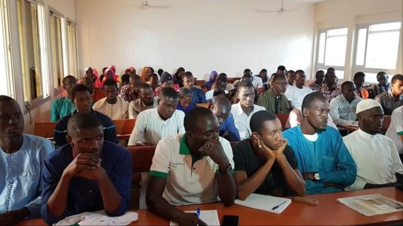 阿拉伯語學院：塞內加爾與阿拉伯世界的橋樑