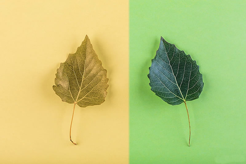 必須改變，但是……