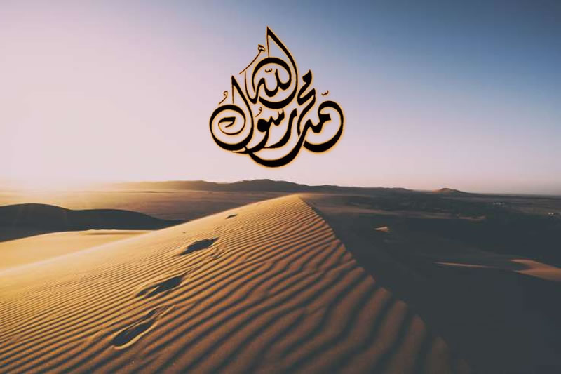 仰望穆罕默德：人類史上國家無責賠償第一人