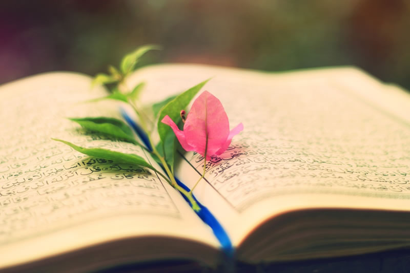 《古蘭經》中的智慧賢者：魯格曼