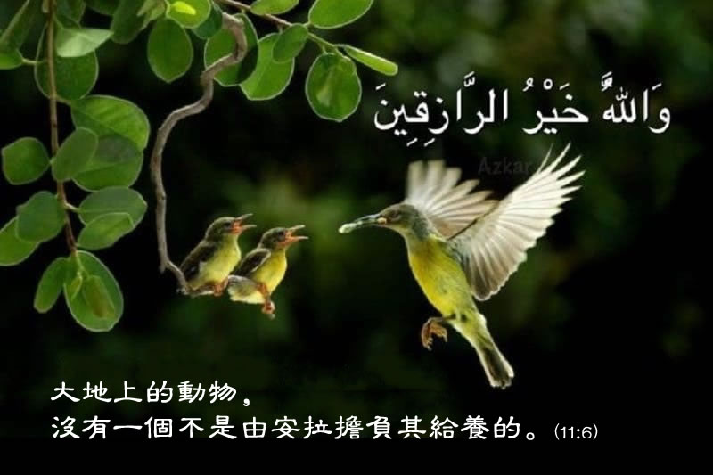 不必擔心未來生活的保障