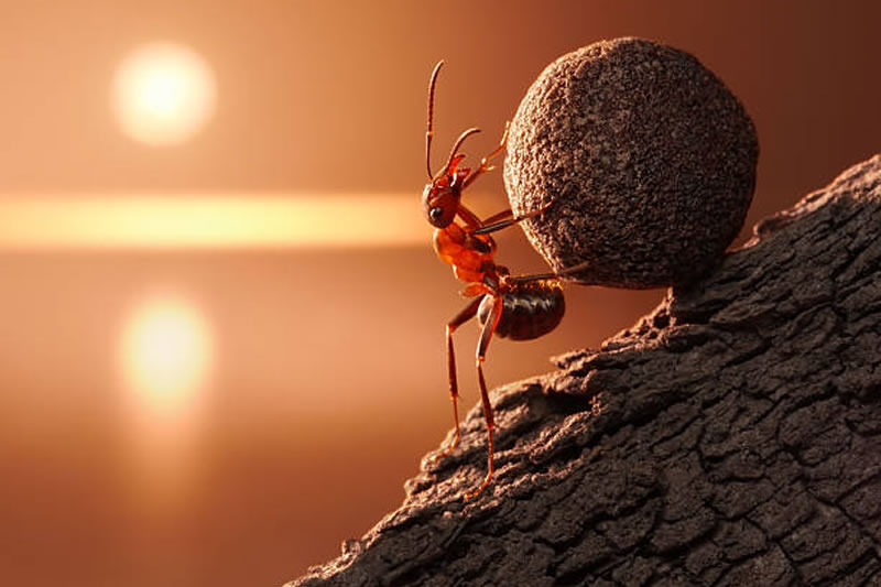 忍耐：是通往成功路上的強大助力