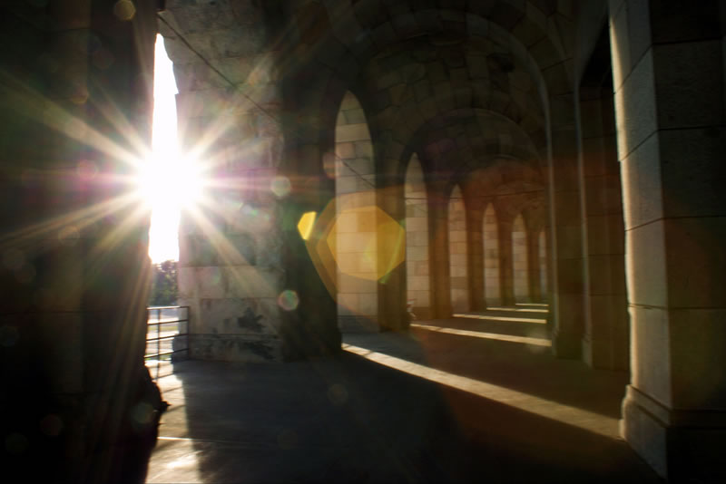 堅忍：信士前行路上的明燈