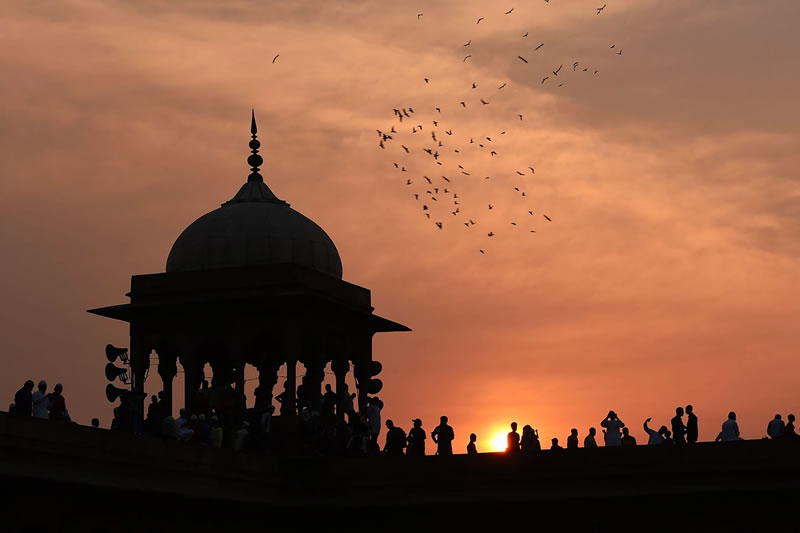 知足：大地即是樂園