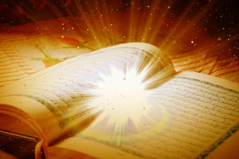 做一个睿智的信士