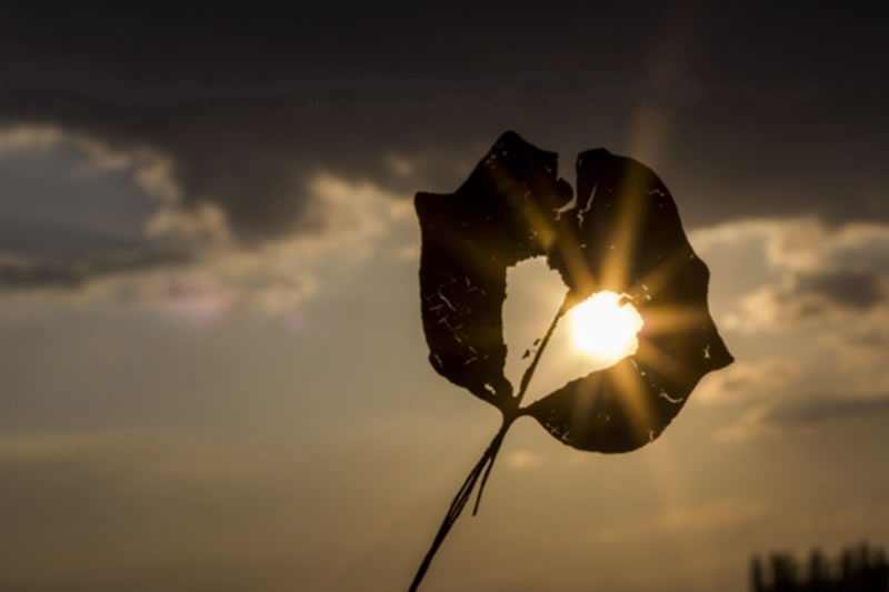 如何潔淨我們受染的心靈？