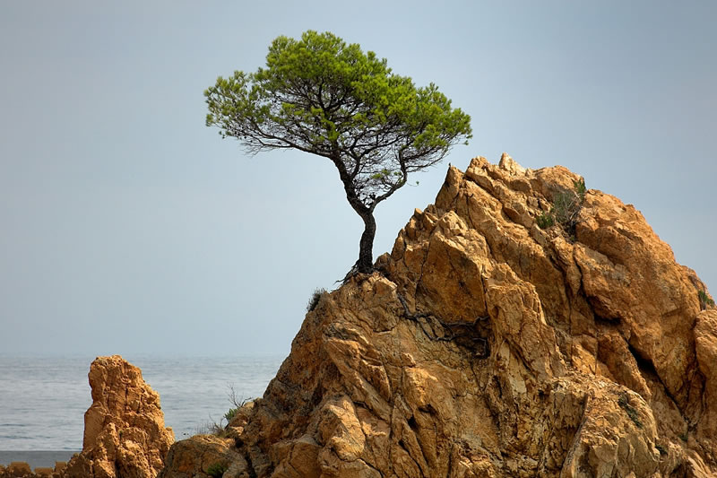 經世事磨煉 享智慧人生