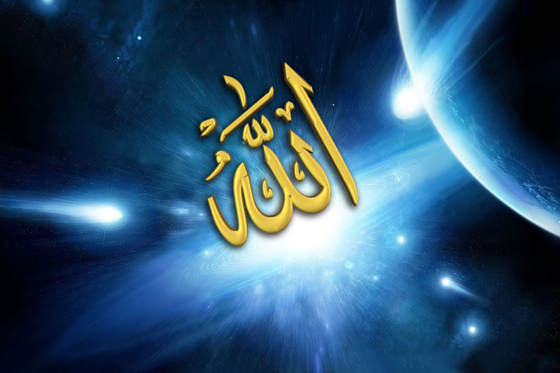 對於真主的造化，你究竟能看出什麼缺陷呢？