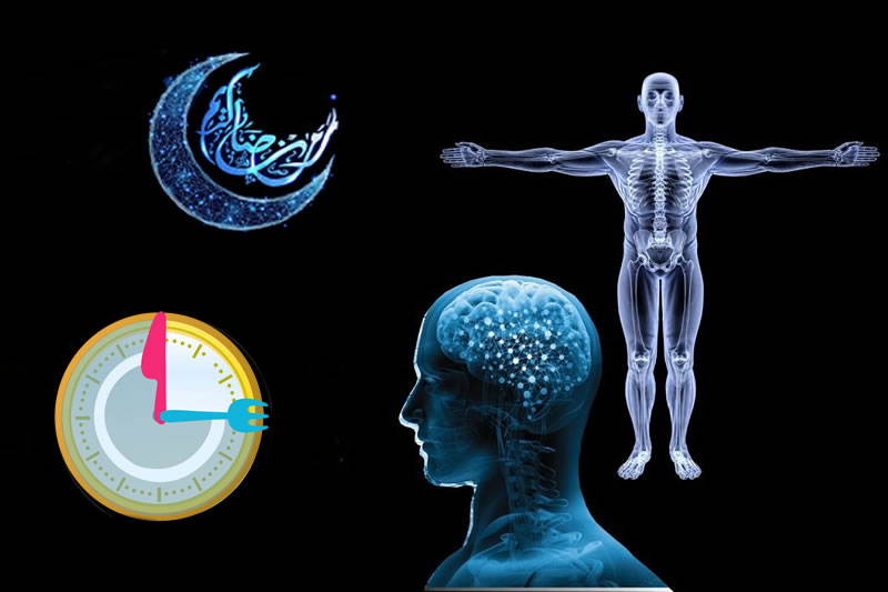 健康齋月：齋戒對人體的影響