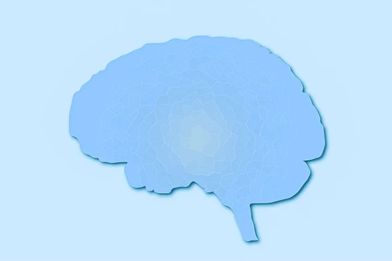 理解大腦，重塑習慣：走出不良行為與心理困擾