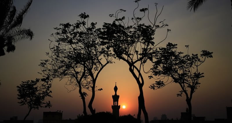 朱威烈：充分認識伊斯蘭世界的時代轉變