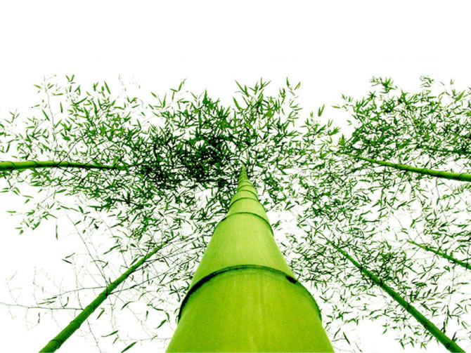 先賢們總是很喜歡那些指出他們過錯的人