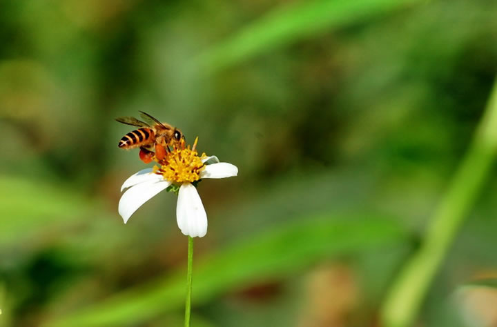今世是工作之地，後世則是豐收之地