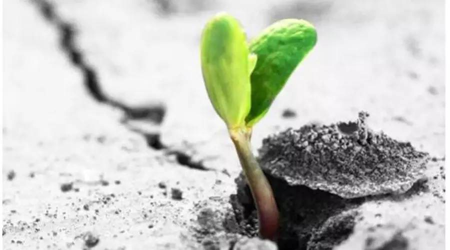 不要讓你所犯過的錯擊垮你