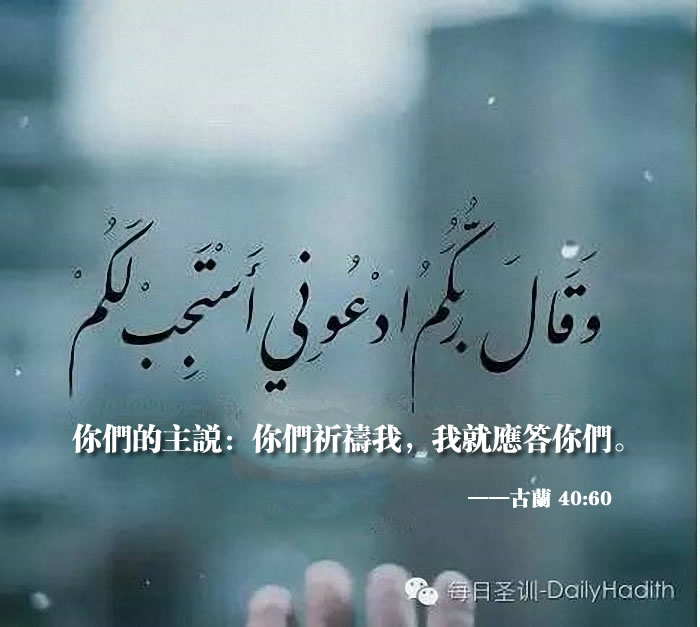 真主會應答我們的祈禱