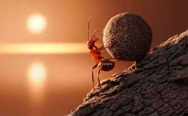 至仁主知曉一切，他會引導你