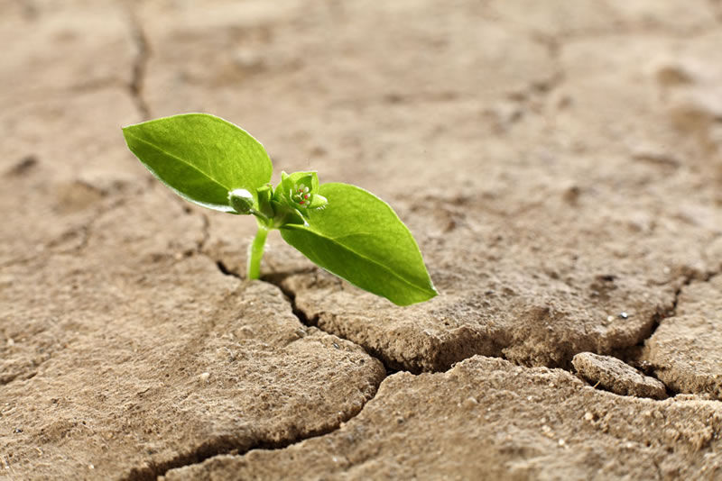 我們不可絕望于安拉的憐憫  也不可讓高枕無憂