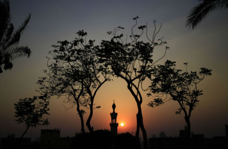 真主會賜予僕民給養