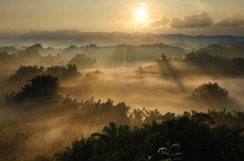 真主是最好的見證者