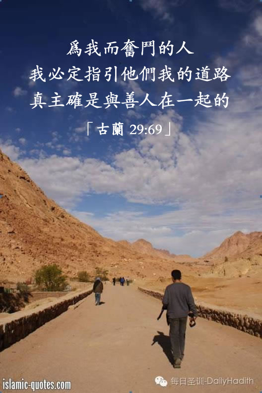 真主確是與善人在一起的