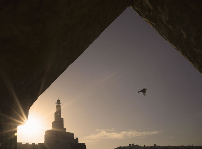 不要為了取悅某人而遺忘你的養主