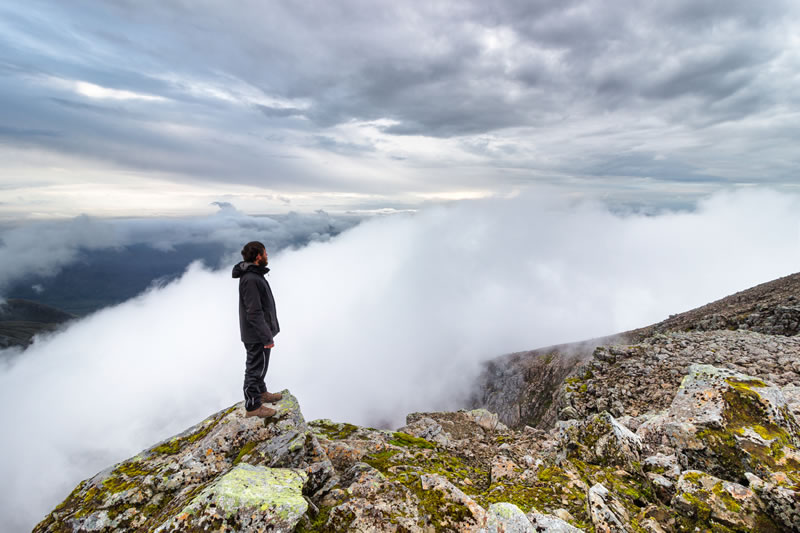 至仁主明白你是否在奮鬥