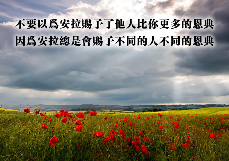 安拉會賜予不同的人不同的恩典