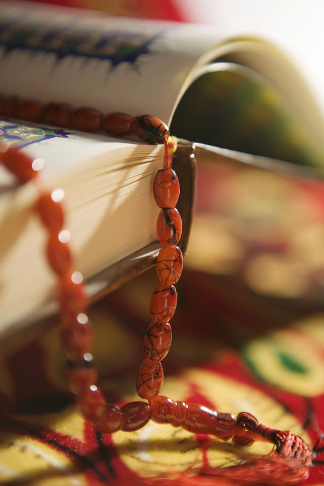 你要做的是取悅你的養主