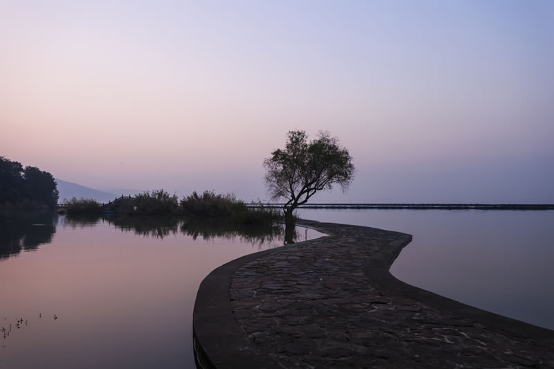 無論發生什麼，它都是造物主的前定