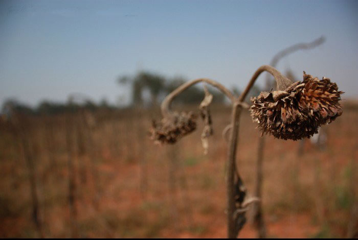 請勿在塵世將自己的福分消盡享完