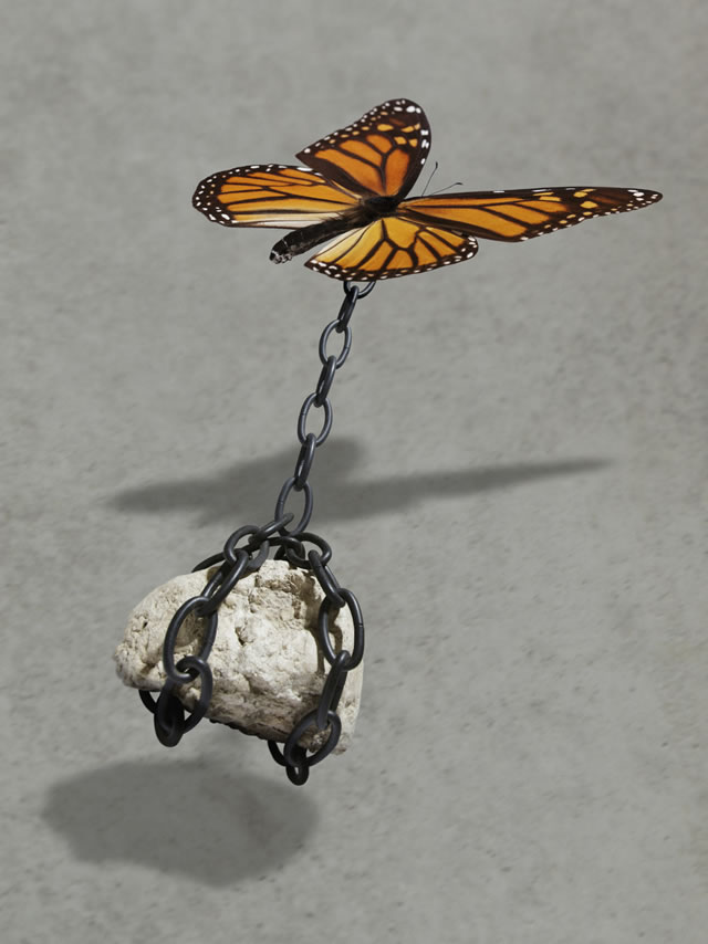 祈禱並不是單純地將萬事萬物都交付給安拉