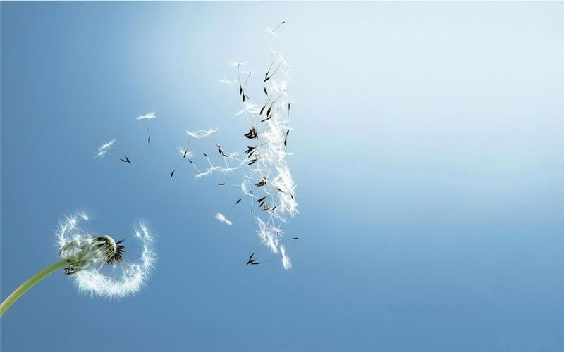 你擁有的，安拉可能會隨時將它收走